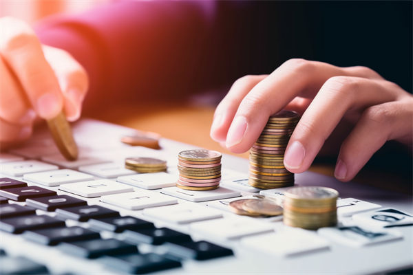 最大的黑天鹅（其实不是黑天鹅）