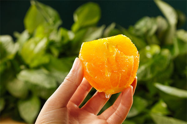 每日交易和择时交易哪种更好? 每日交易和择时交易哪种更好?