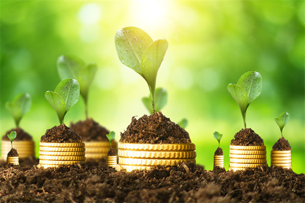 半路首板的操作模式