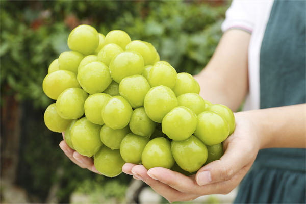 现在散户参与A股存在的核心问题与题材核心轮动逻辑的思考