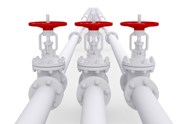 龙头股的生命周期与鱼尾阶段特征